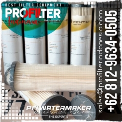 Pentek S1 Pleated Filter Cartridge Pentair  medium